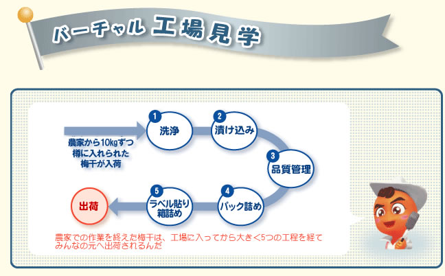 なんと梅干館では工場見学ができちゃいます！